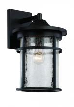 Trans Globe 40382 BK - 1LT WALL LANTERN-LG-SEEDED GLA